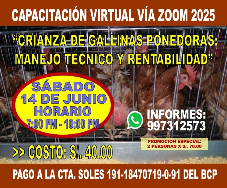 CURSO PORPULAR GALLINAS