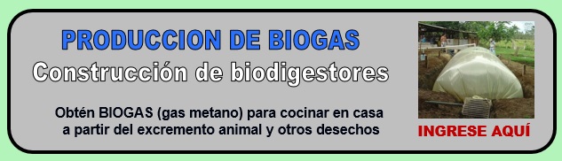 BIOGAS