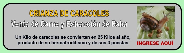 CARACOLES