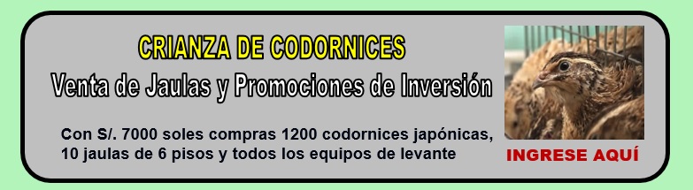 CODORNICES