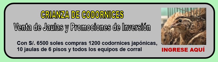 CODORNICES